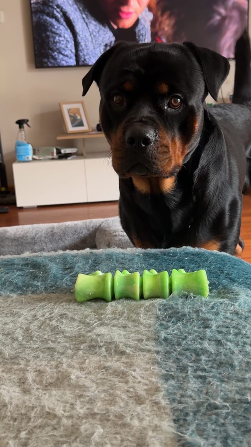 Customer photo review of TUFFJaw™ El Spinae