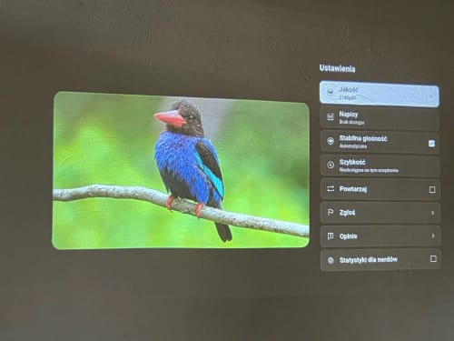 Customer photo review of MovieHub™ Pro 2026 Edition