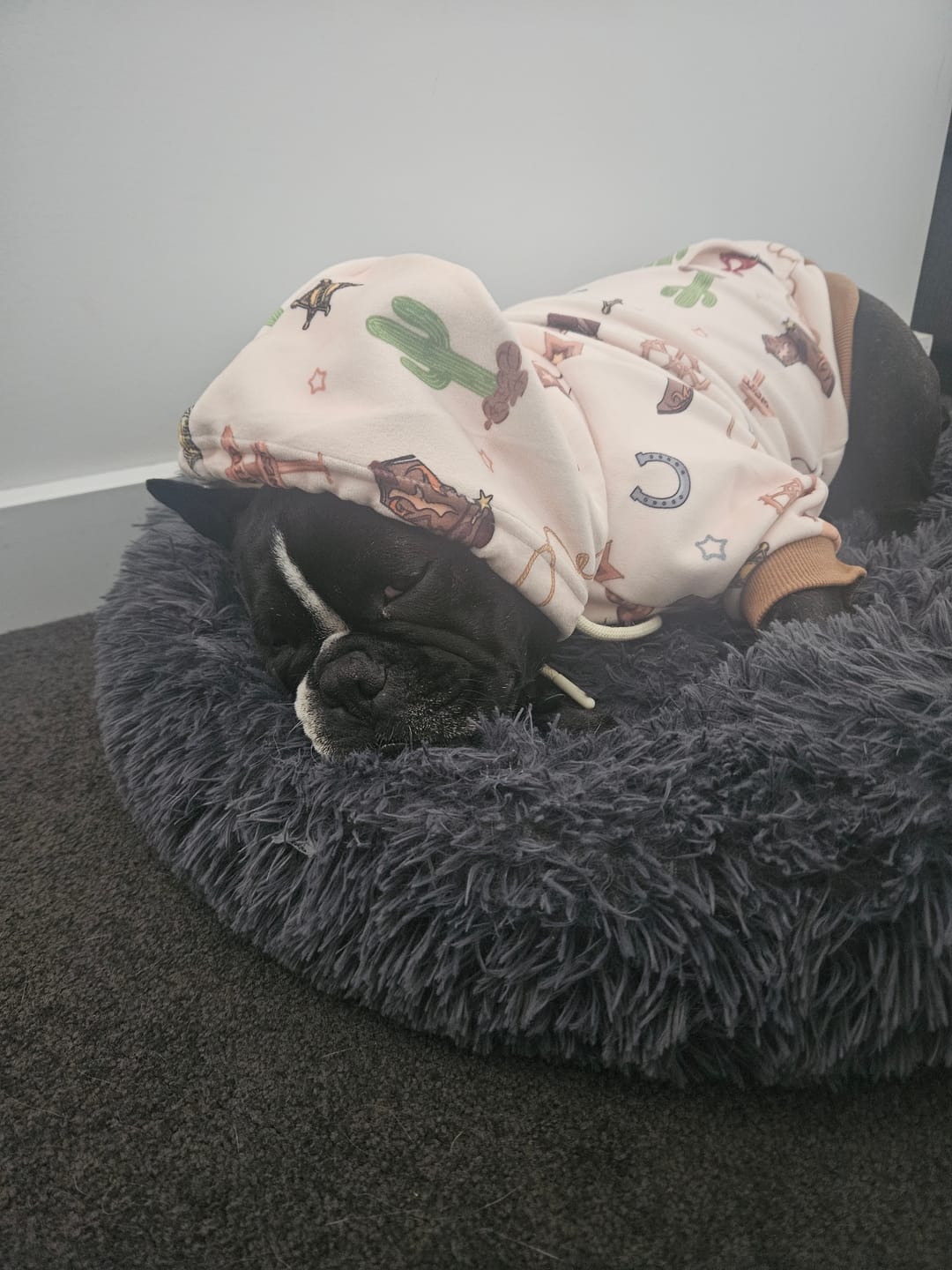 Customer photo review of Rodeo Dog Hoodie