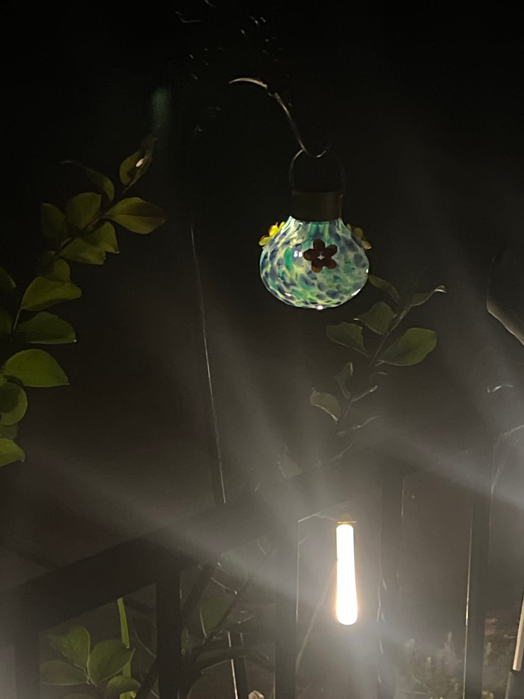 Customer photo review of VINGUYS Solar Hummingbird Feeder with Light