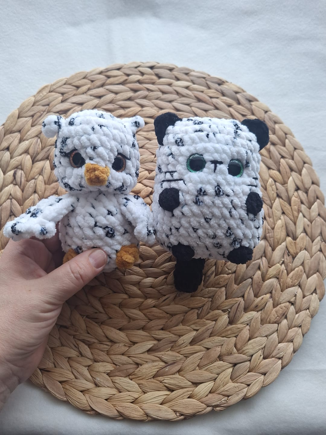 Customer photo review of Wolans Confetti