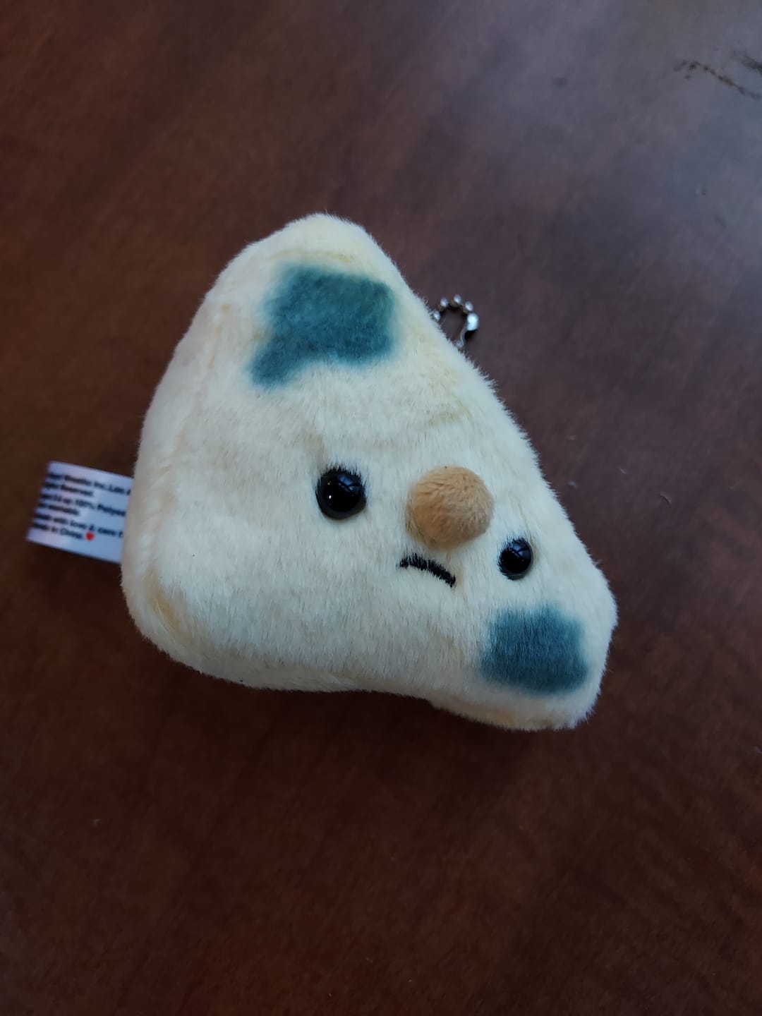 Customer photo review of Forgotten Moldy Parmesan Cheese