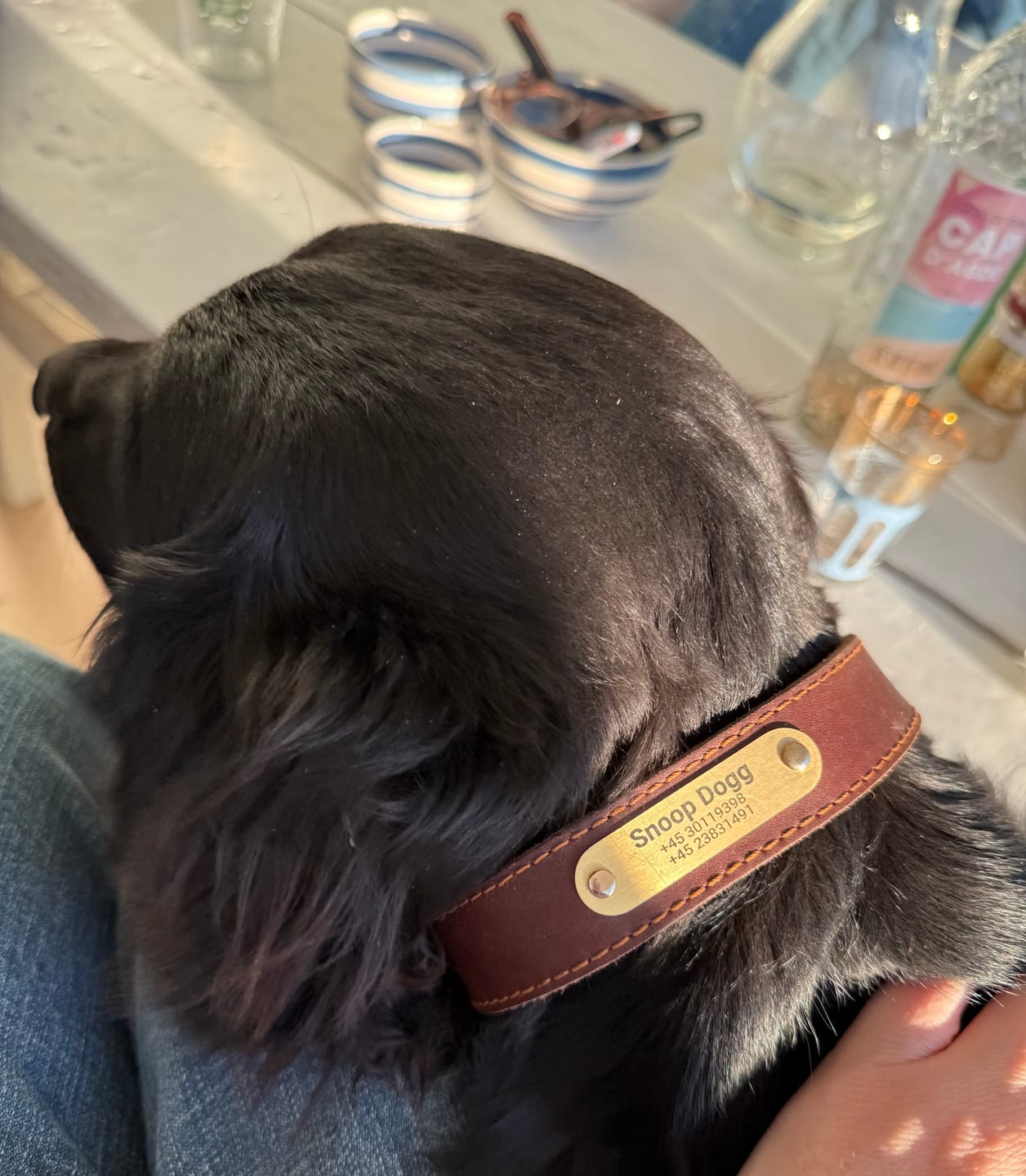 Customer photo review of Edles Hundehalsband aus Rindsleder mit Gravur Name und Telefon