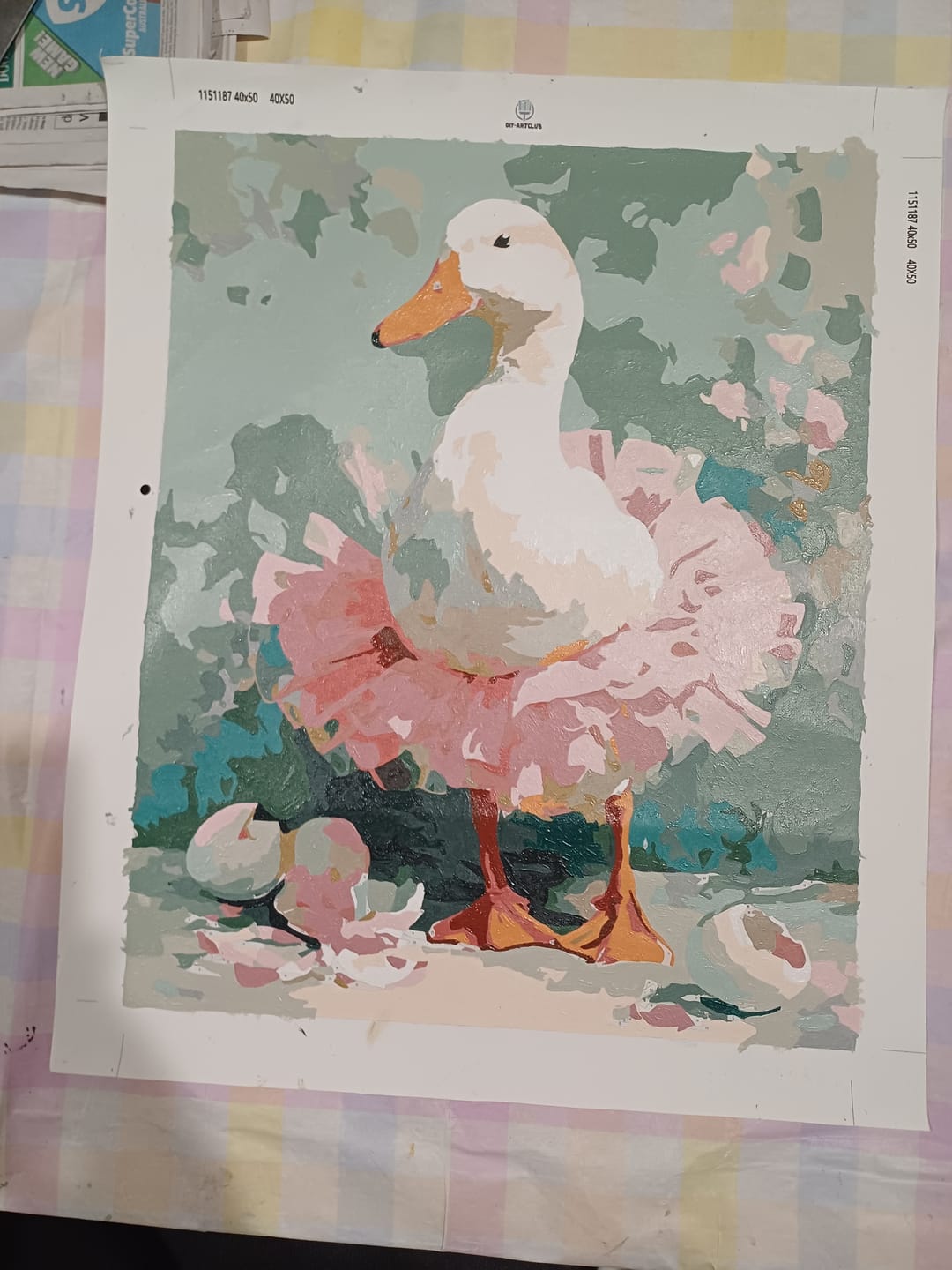 Customer photo review of The Goose Ballerina | Paint by Number