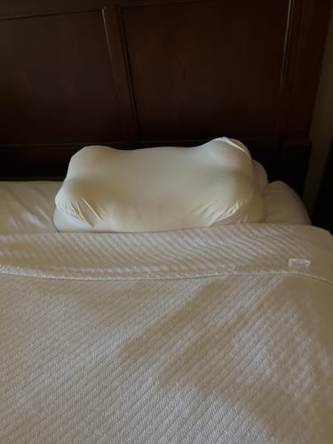 Customer photo review of CloudAlign™ Pillow