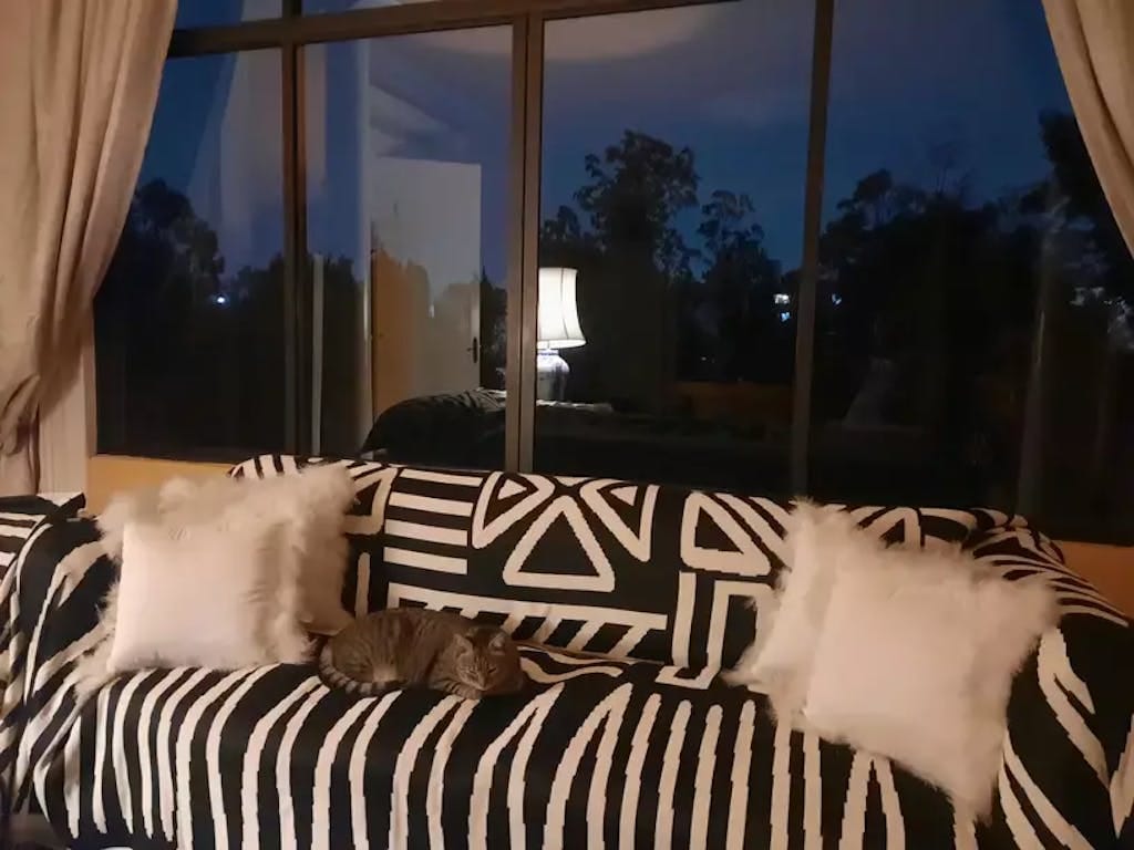 Customer photo review of Velvet Sofa Cover – Geometric Jacquard Protector