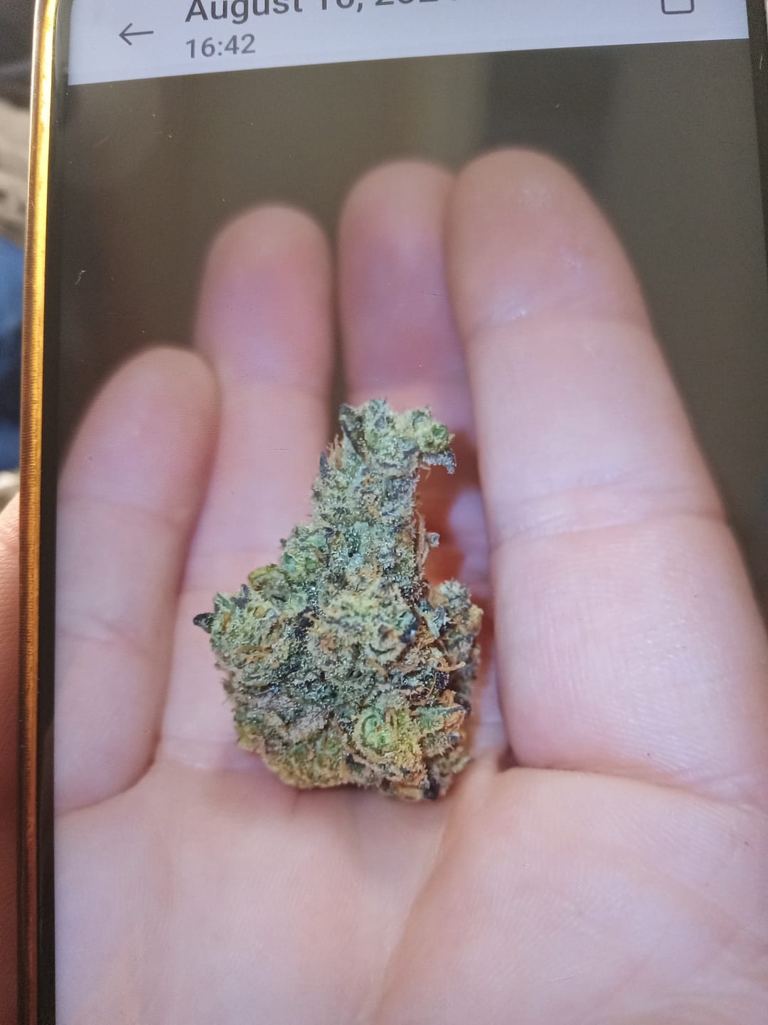 Customer photo review of GMO Indoor THCA