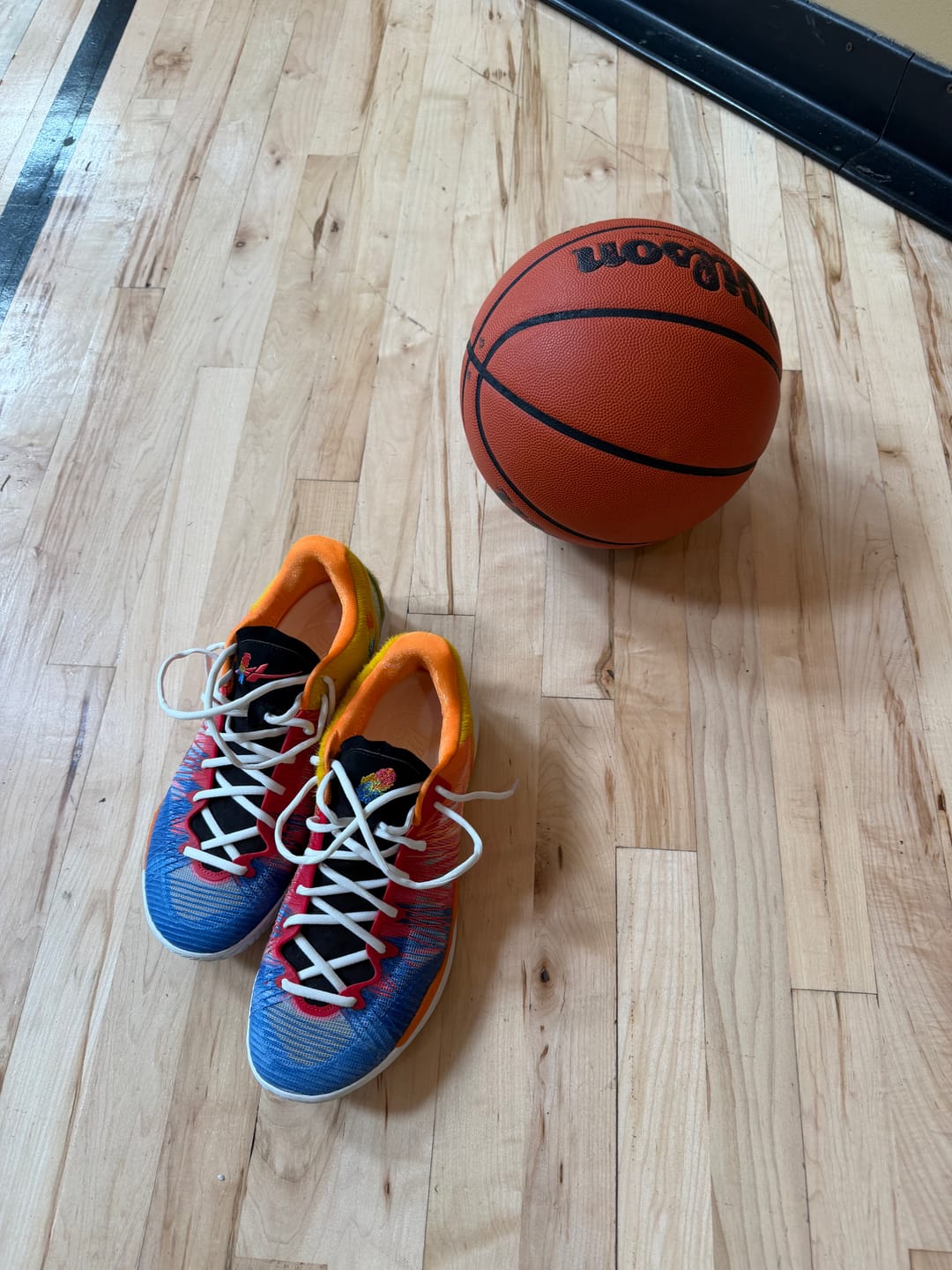 Customer photo review of Player1.5 Macaw