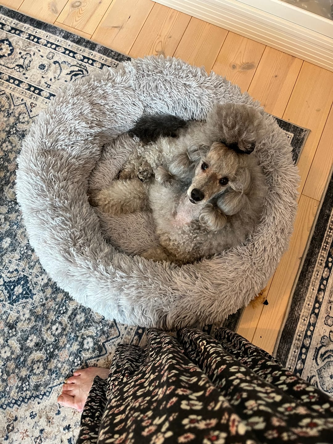 Customer photo review of CalmBed – Ehkäisee stressiä ja lievittää ahdistusta