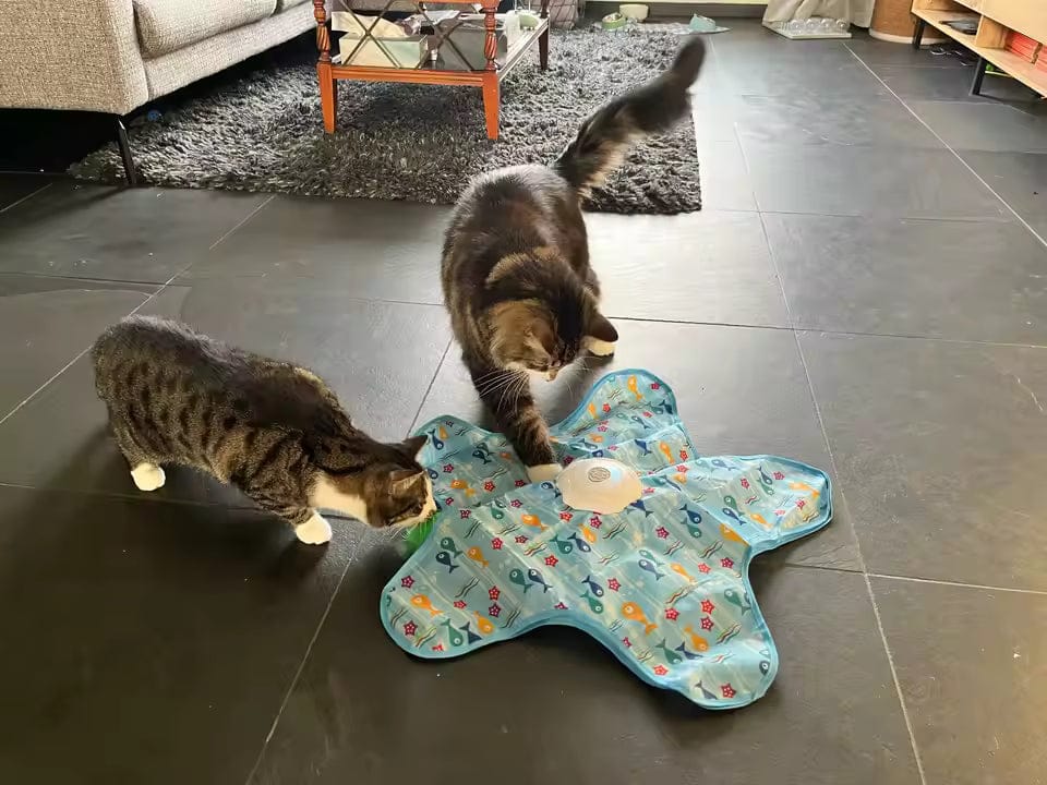 Customer photo review of Teasing UFO (Cats)