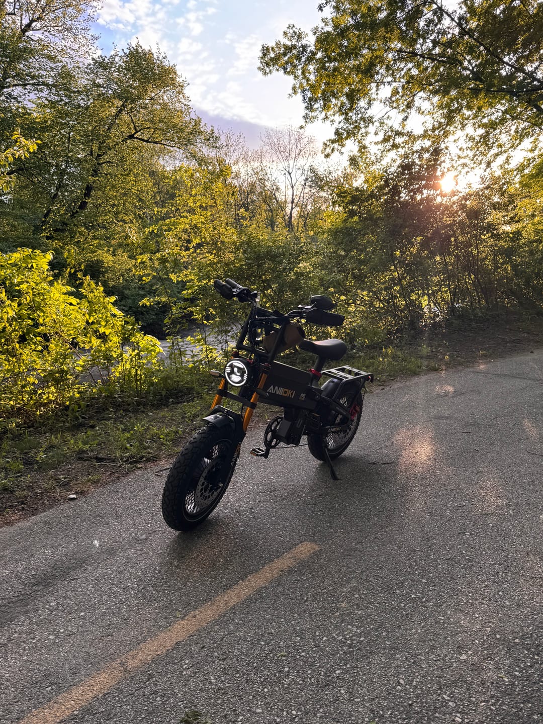 Customer photo review of A8 Pro Max Dual Motor 2.0 eBike