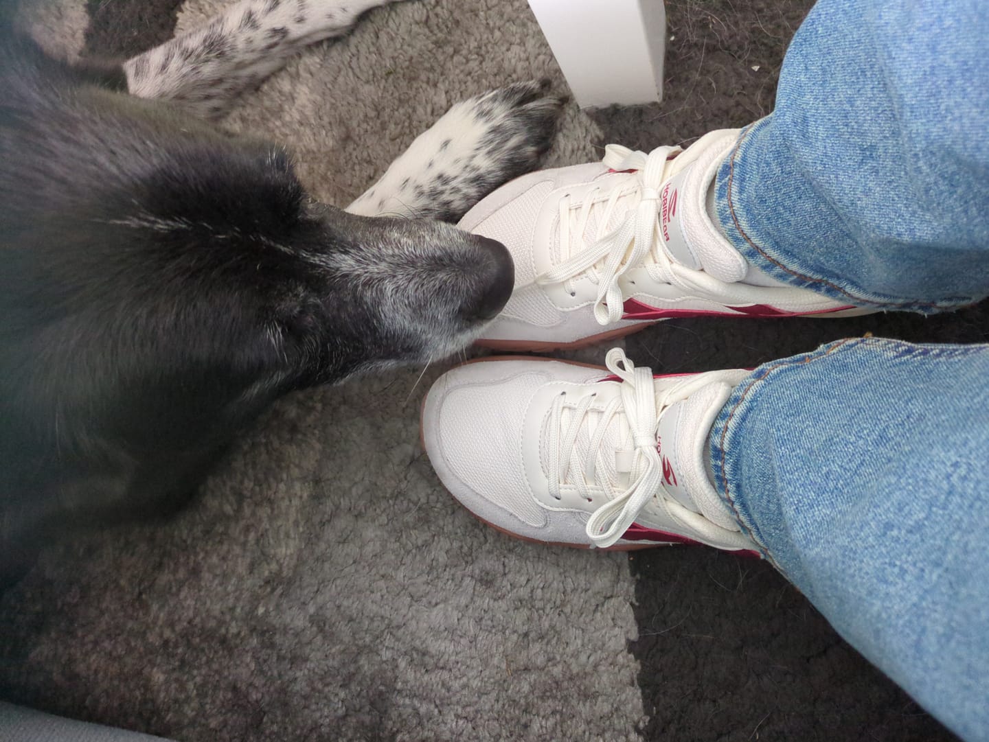Customer photo review of Hareball - Breitfußschuhe