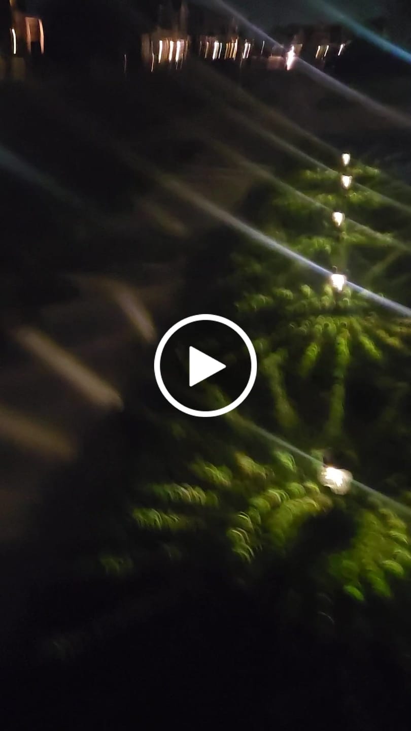Customer video review of Solar Garden Rgb Light