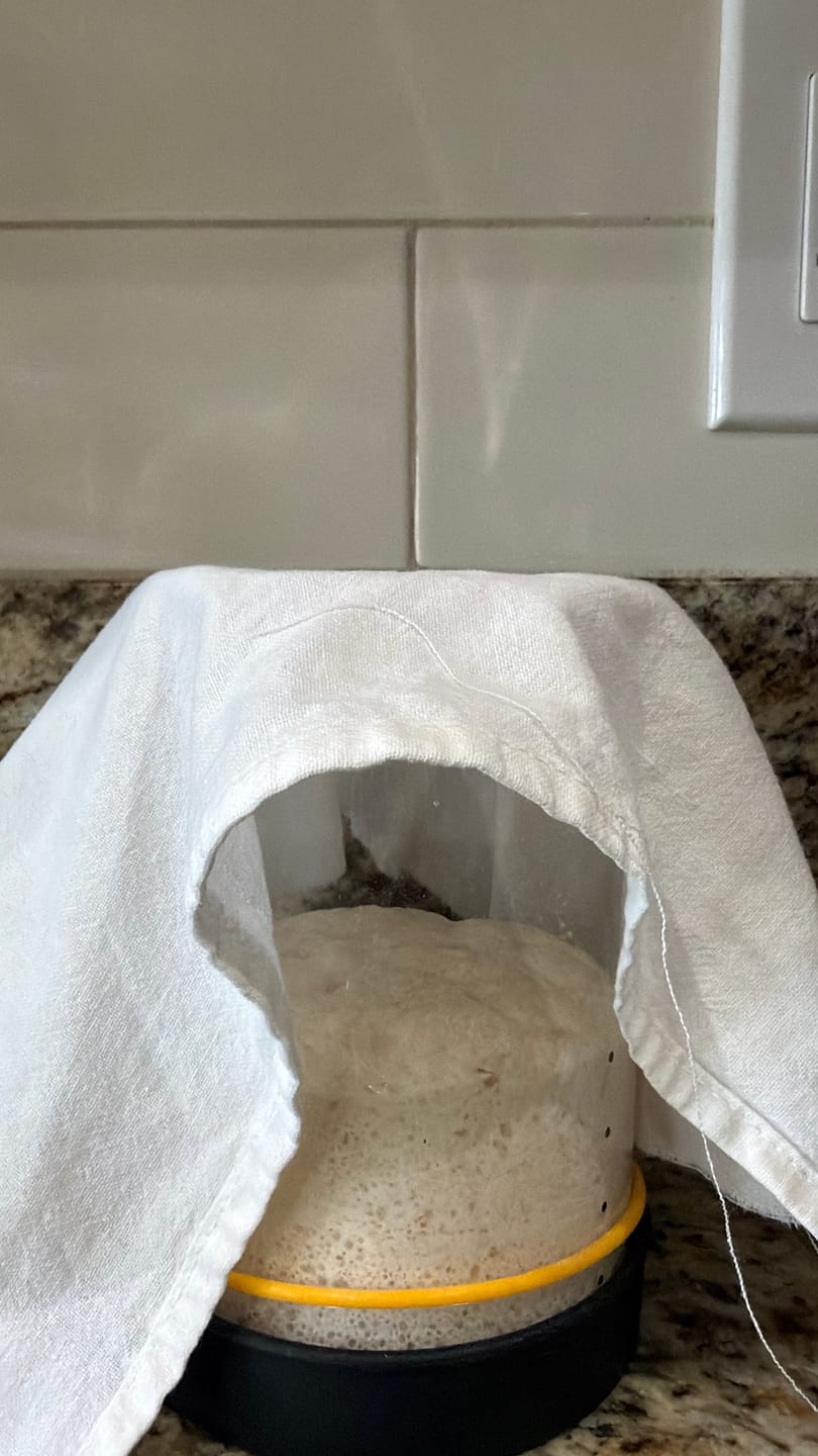 Customer photo review of gfJules Gluten Free Corn-Free Multigrain Biscuit & Breakfast Baking Flour