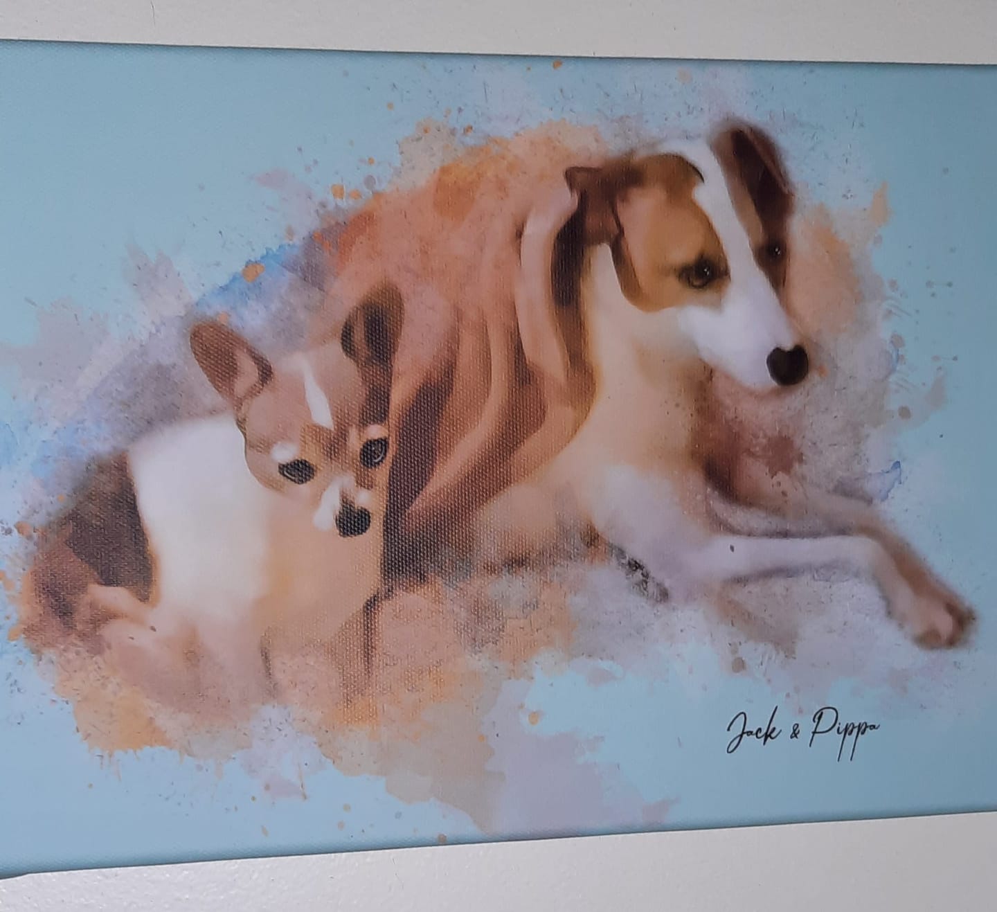 Customer photo review of Watercolor Pet Portrait Wall Art