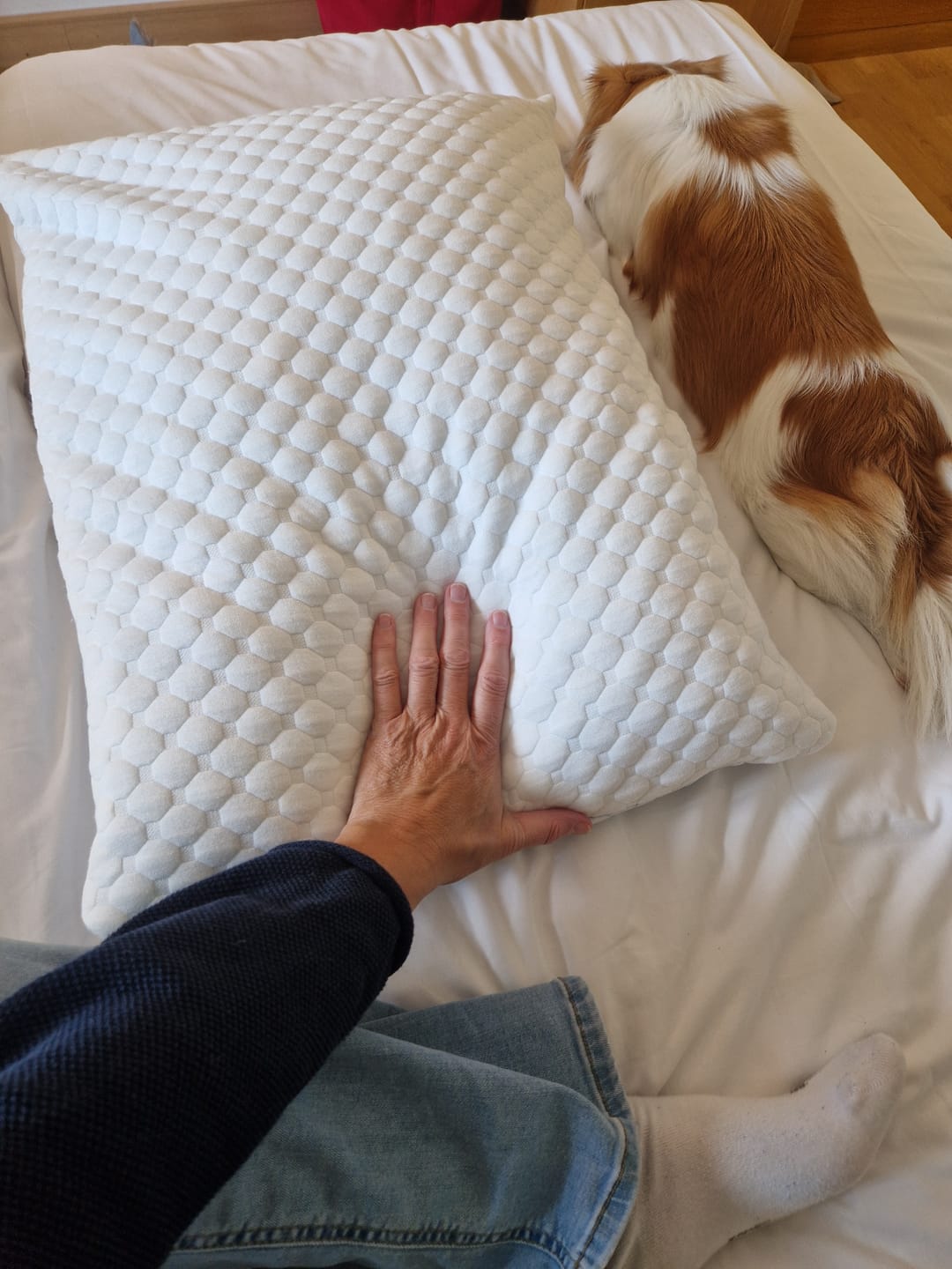 Customer photo review of ComfortPillow 2.0 - Den justerbare hovedpude