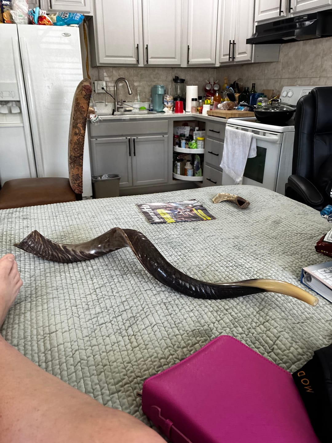 Customer photo review of HalleluYAH Kudu Half Polished Shofar Plus Ram Horn, Guide & Brush