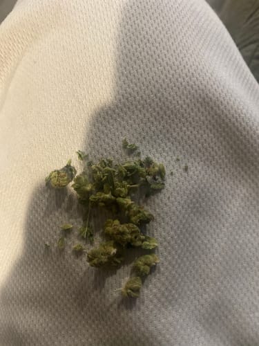 Alien OG - Minis - 28 Grams - Indica photo review