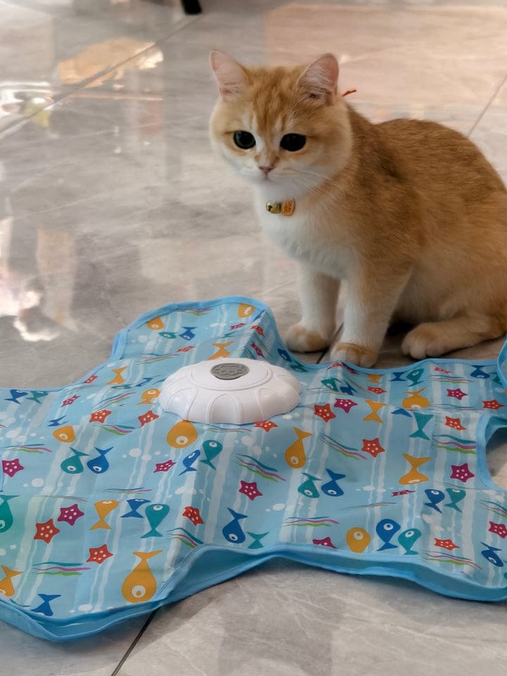 Customer photo review of Teasing UFO (Cats)