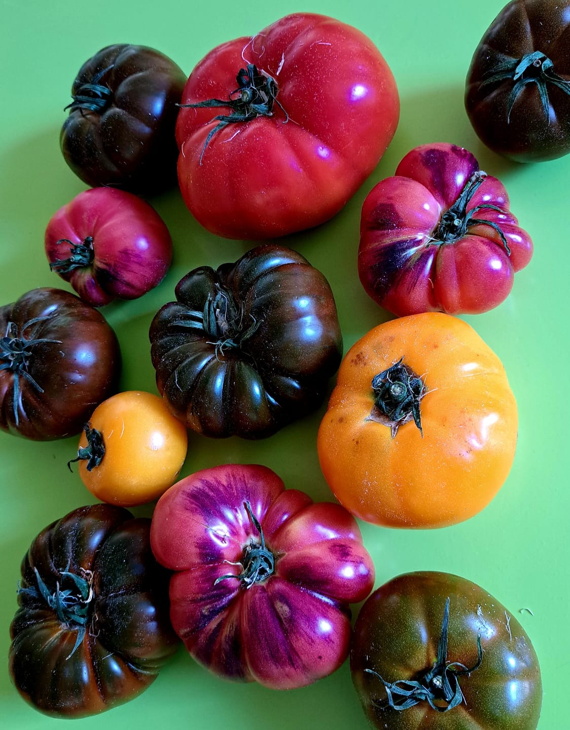 Customer photo review of Tomaten Mix von Julian Box 3kg Aktionswoche %