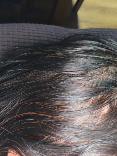 Primer plano del pelo de un cliente que muestra las canas teñidas de un tono rojizo cobrizo después de usar la Henna Jamila Hair.