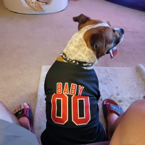Customer's dog wearing a black custom jersey with "BABY 00" in red and white lettering on the back.