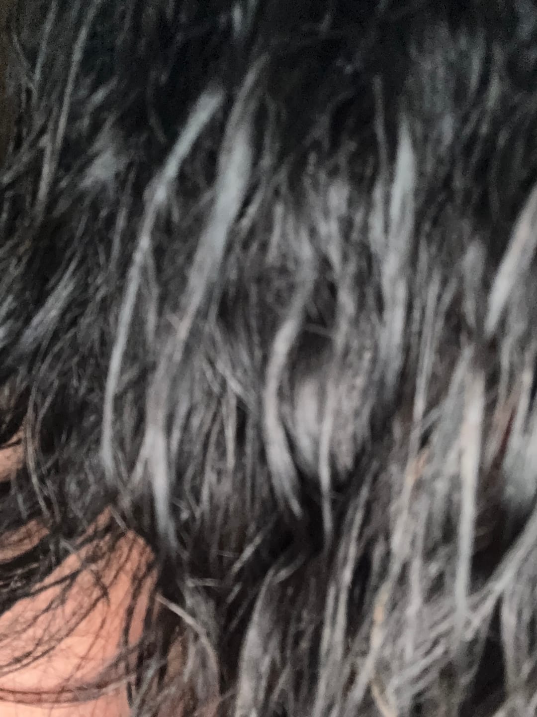 Customer photo review of Collagen Hair Mask