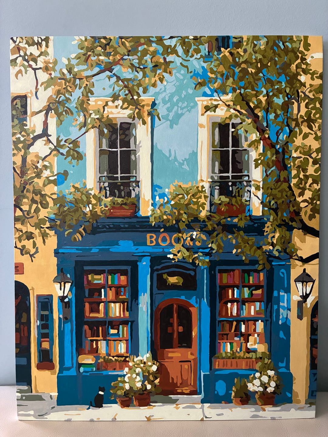 Customer photo review of The Blue Bookshop | Paint by Number