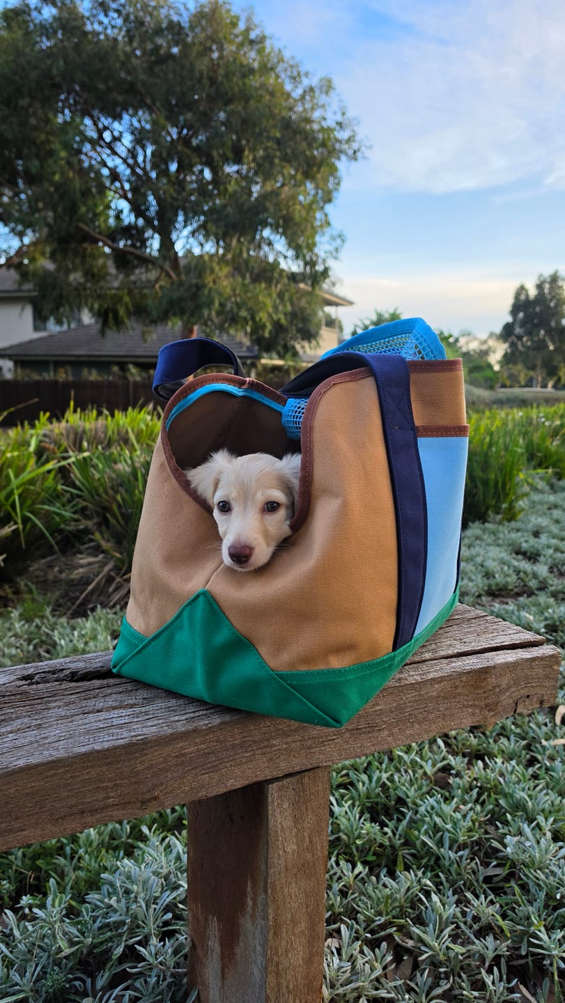Customer photo review of Urban Palette Travel Tote