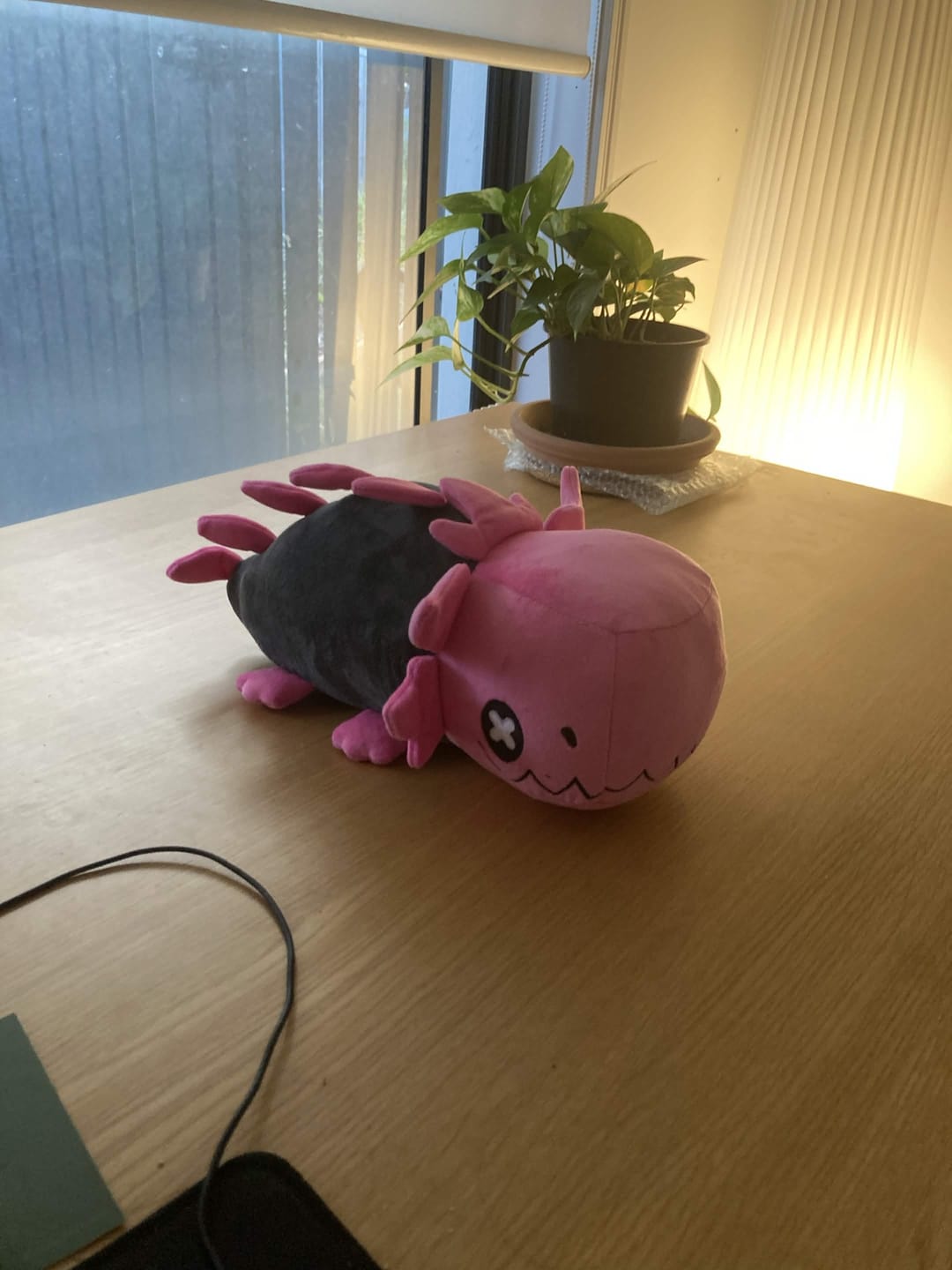 Customer photo review of Rain World - Glowing Pink Lizard Plush
