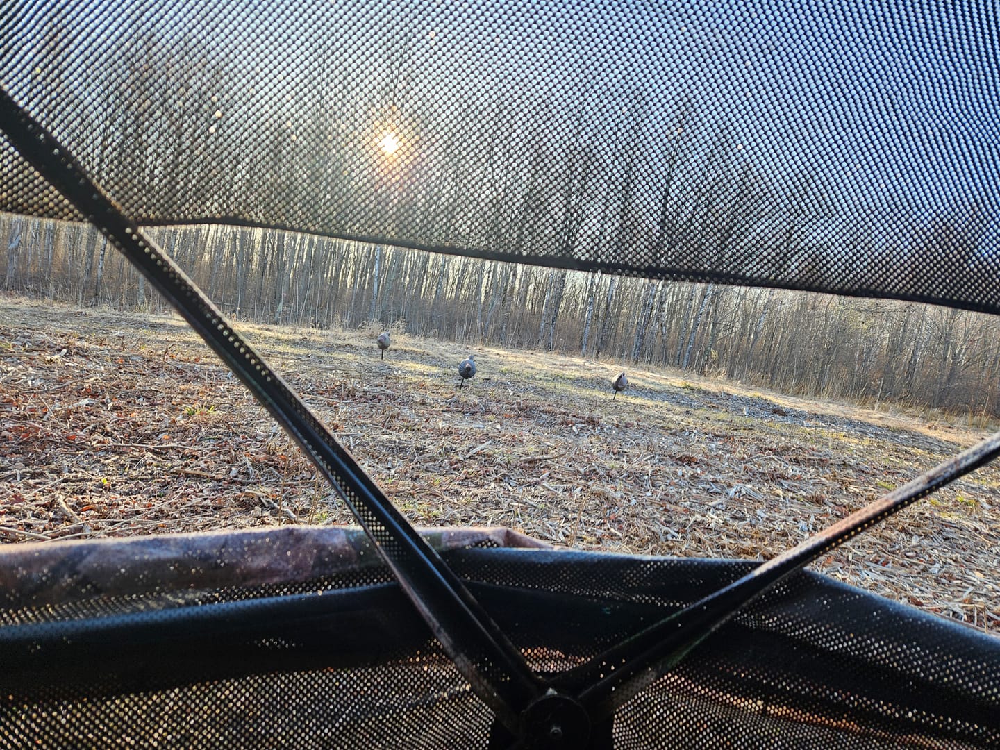 Customer photo review of FLASH SALE 270° See Through 1-2 Person Hunting Blind, Pop Up Ground Deer Blind