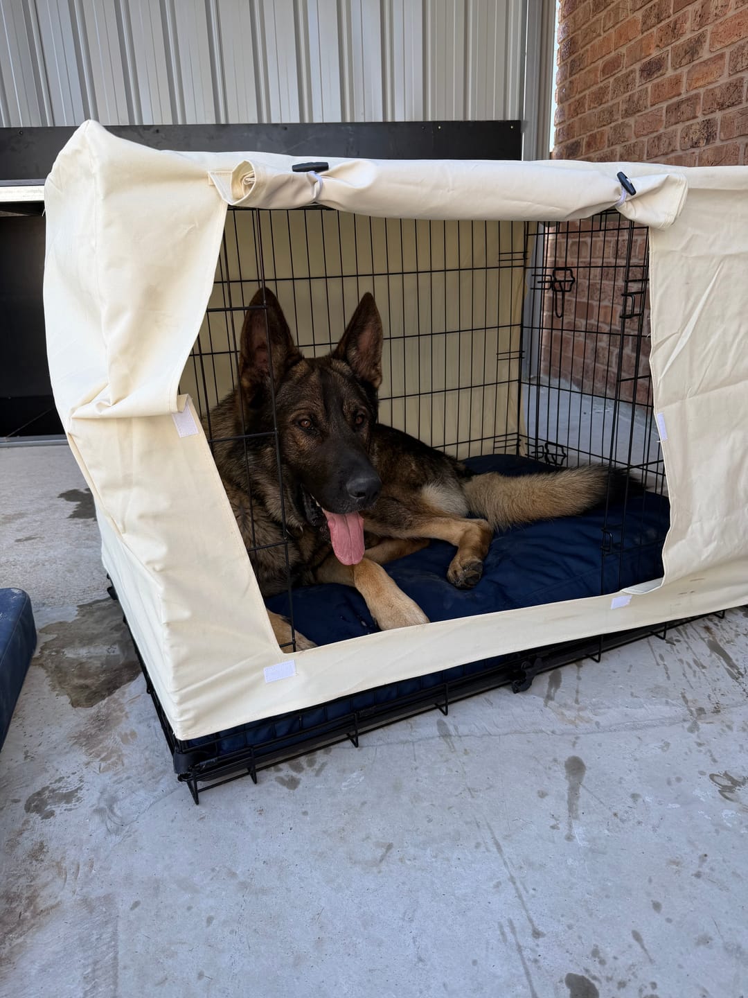 Customer photo review of Kangaroo Dog Crate Mat Extra Cover