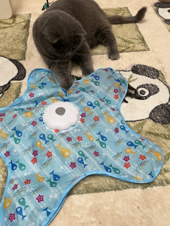 Customer photo review of Teasing UFO (Cats)
