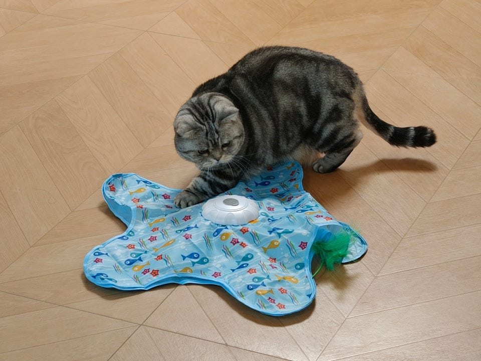Customer photo review of Teasing UFO (Cats)