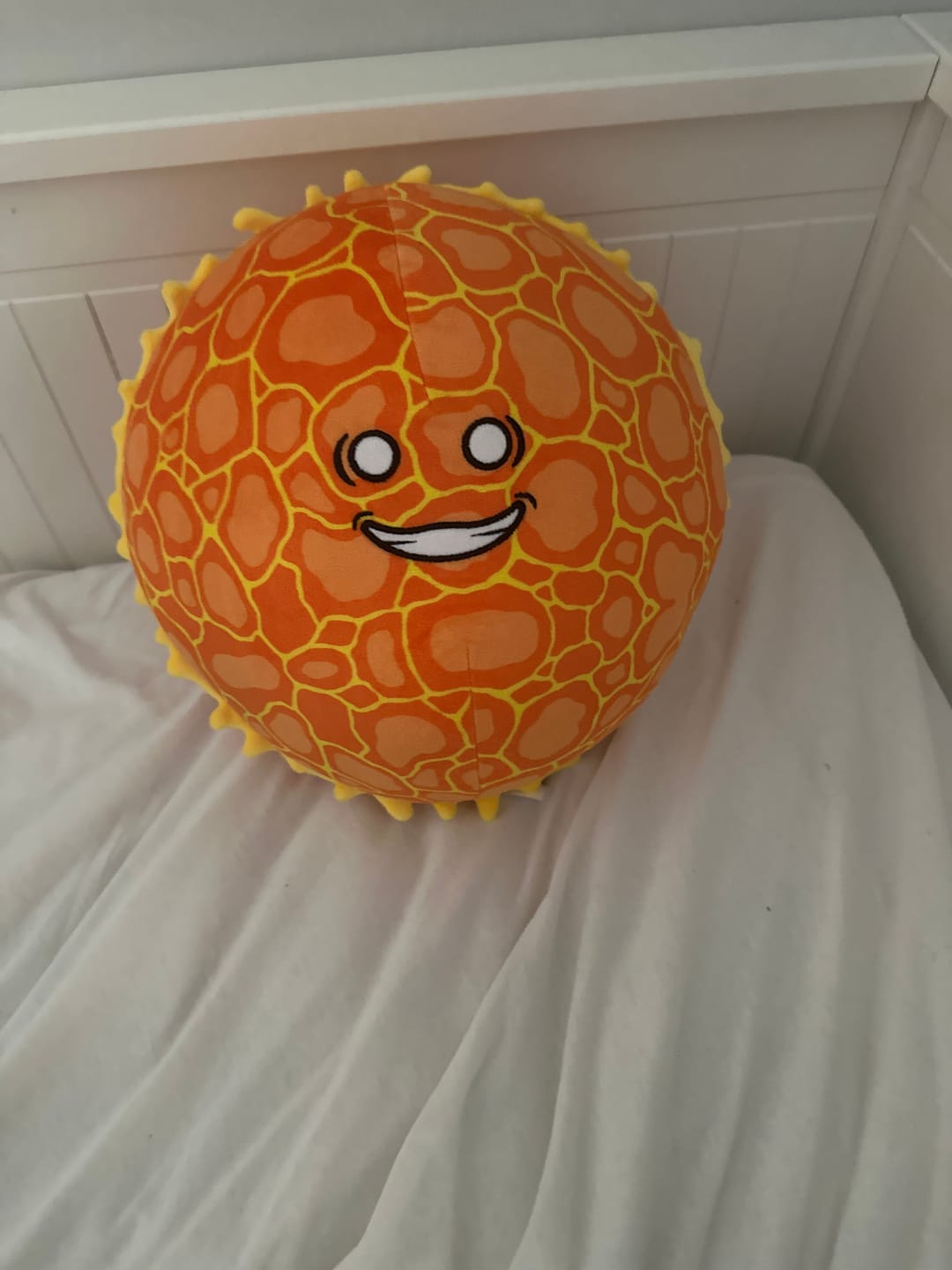Customer photo review of The SolarBalls Sun Plush