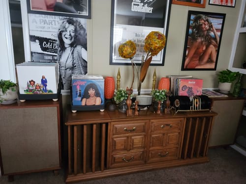 Customer photo review of Record Roots Tabletop Storage System