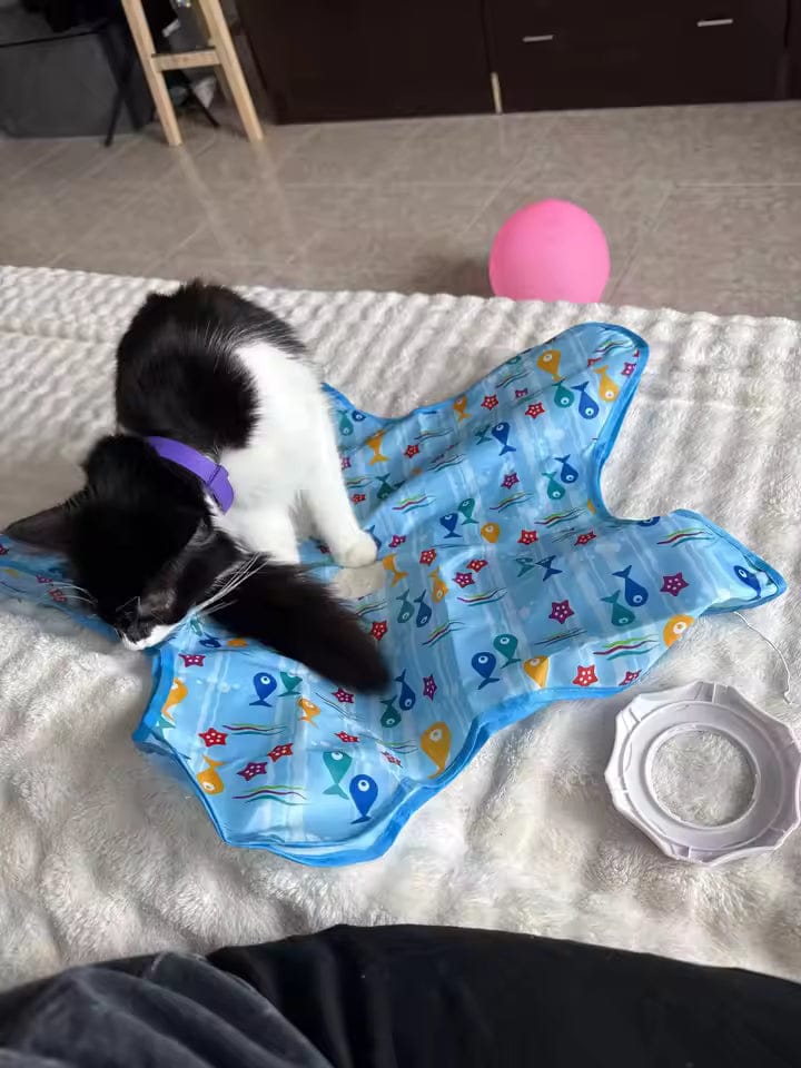 Customer photo review of Teasing UFO (Cats)
