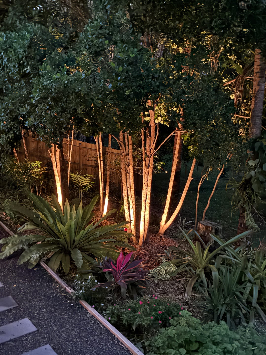 Customer photo review of SolaGarden™ Spot Light Pack