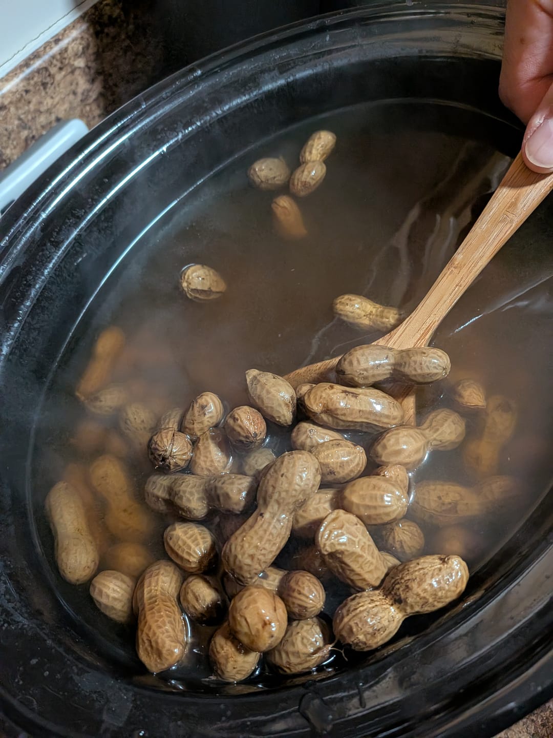 Customer photo review of Boil-The-Bag Sampler Pack