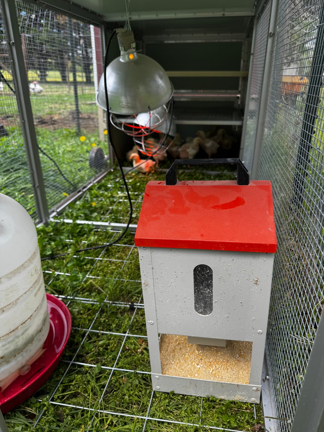 Customer photo review of Canvas Cover for Chicken Coop / Chicken Tractor