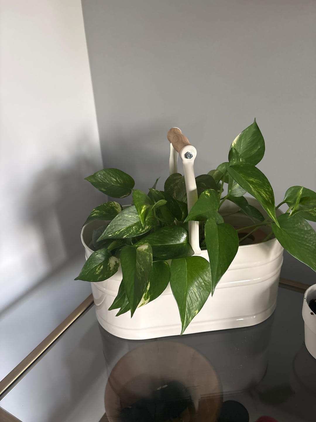 Customer photo review of Caddy Crema - Cestello porta prodotti per la pulizia