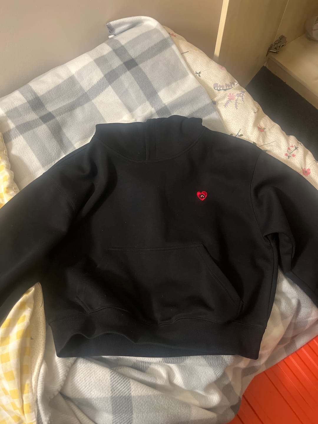 Customer photo review of Aelfric Eden Solid Pullover V302 Boxy Hoodie