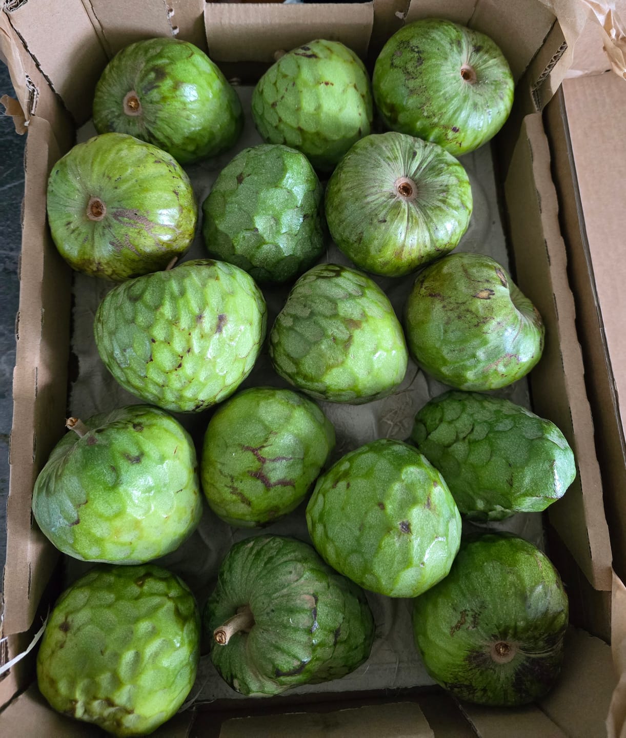 Customer photo review of Cherimoya Bio Hochernte-Retterbox Sonderaktion % 4kg