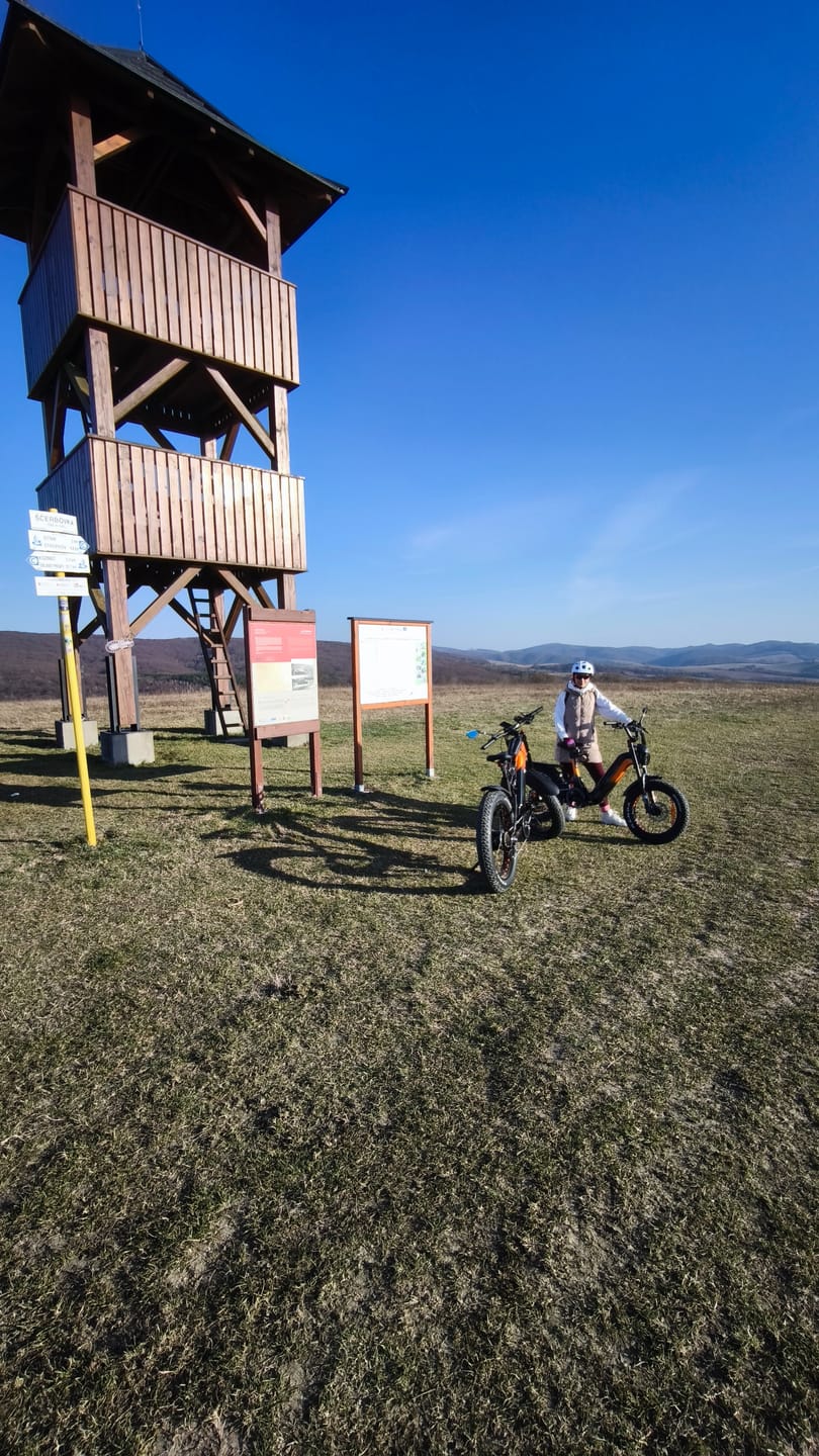 Customer photo review of Lankeleisi RX800 Plus 2025 Version 1000W 20" Fat Bike 960Wh Full Suspension Electric Bike with Torque Sensor 48V 20Ah Battery SUV E-Bike