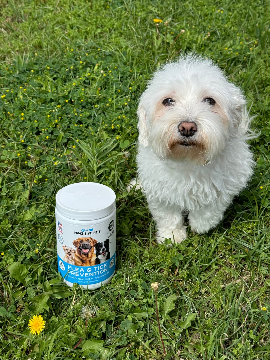 Customer photo review of Flea and Tick Prevention for Dogs – 120 Soft Chews