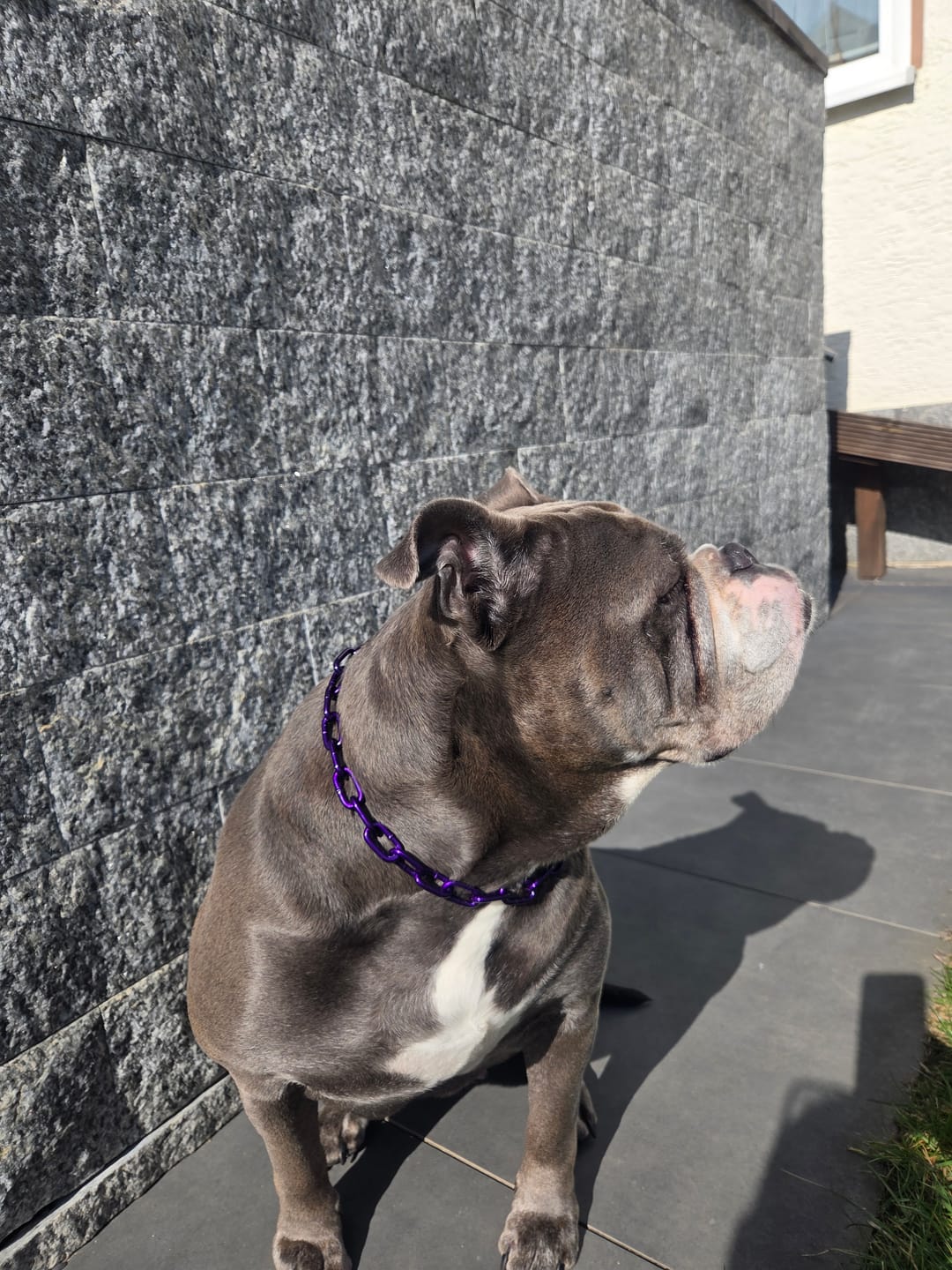 Customer photo review of Kurzgliedrige Eastside Chain
