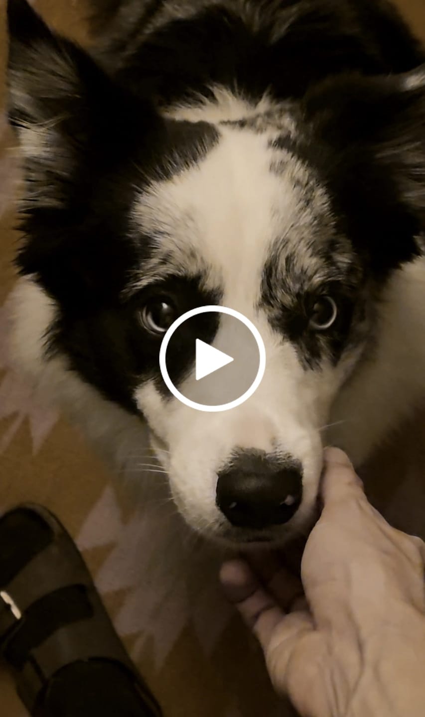 Customer video review of Matcha Bundle