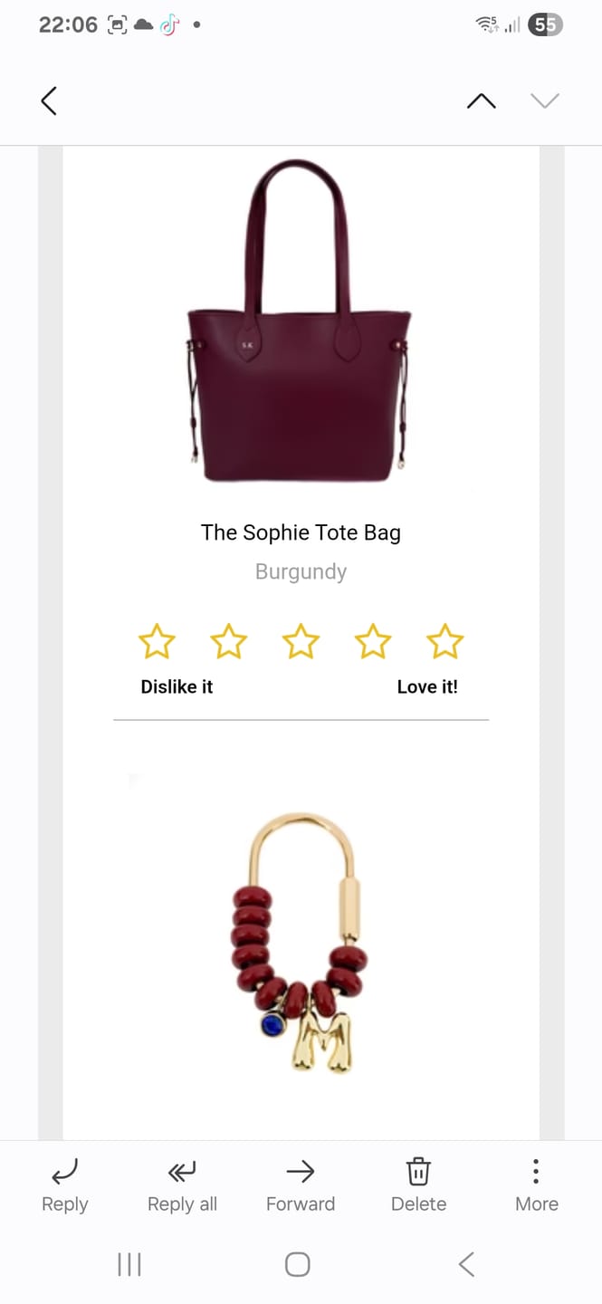 Customer photo review of The Sophie Tote Bag