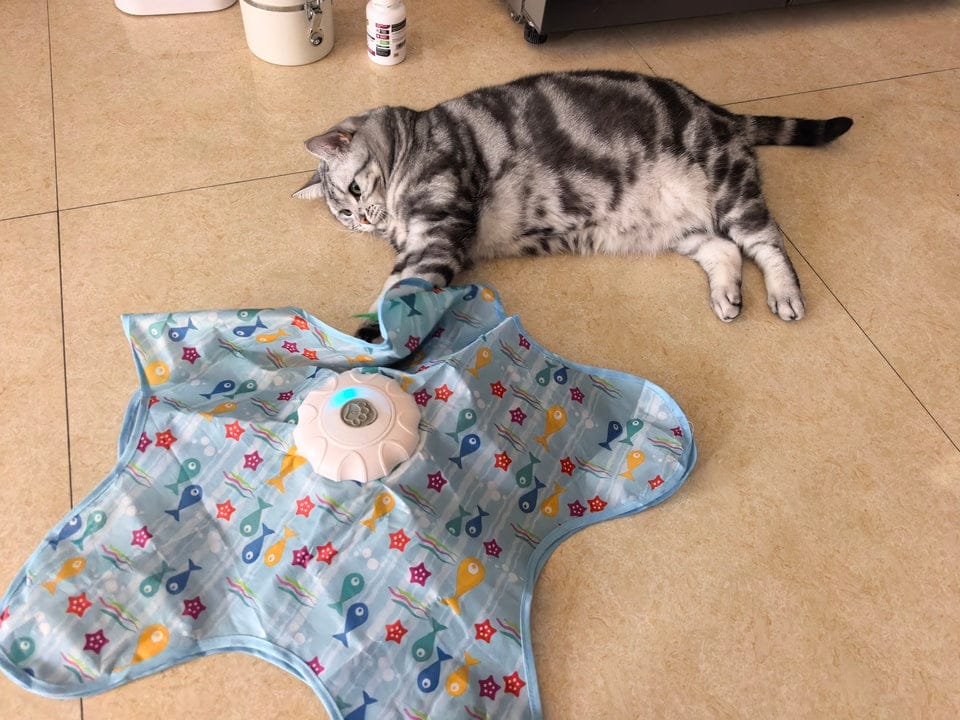 Customer photo review of Teasing UFO (Cats)