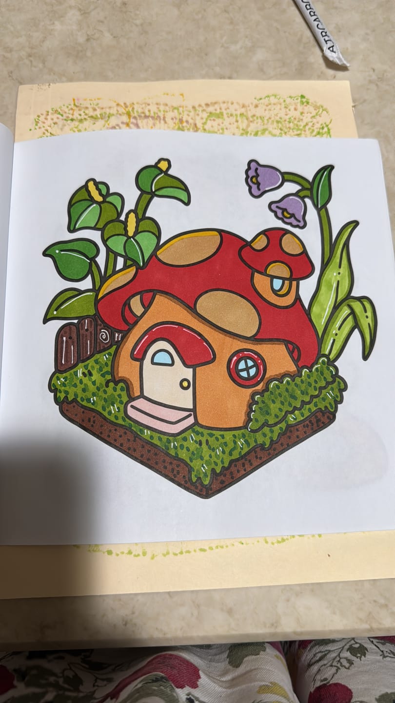 Customer photo review of Ohuhu Honolulu 168 Colors Dual Tips Alcohol Art Markers